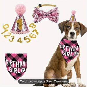 Girl Birthday Set
